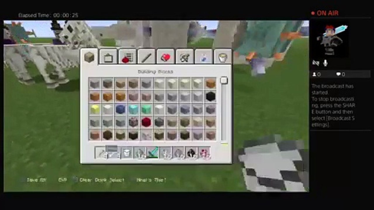 Minecraft pros (26)