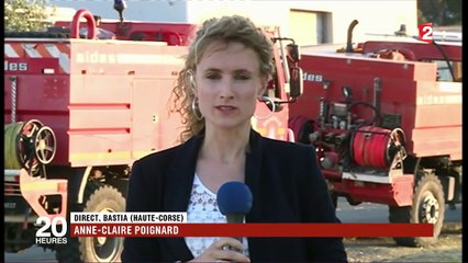 Incendie circonscrit en Corse