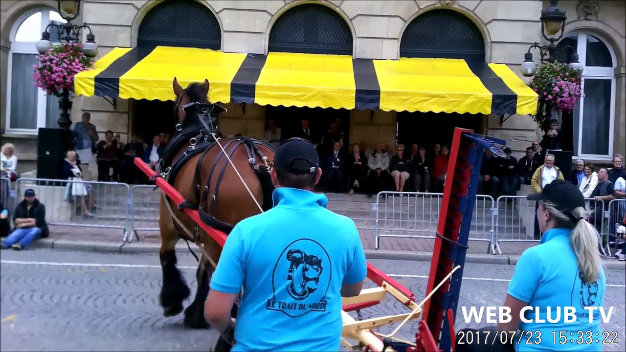 Présentation individuellement des chevaux trait du nord  devant l'hotêl de ville à cambrai