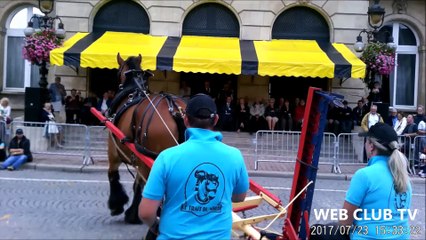 Présentation individuellement des chevaux trait du nord  devant l'hotêl de ville à cambrai