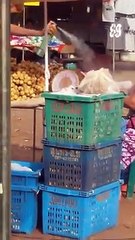 Un essaim d'abeilles attaque UNEFEMME