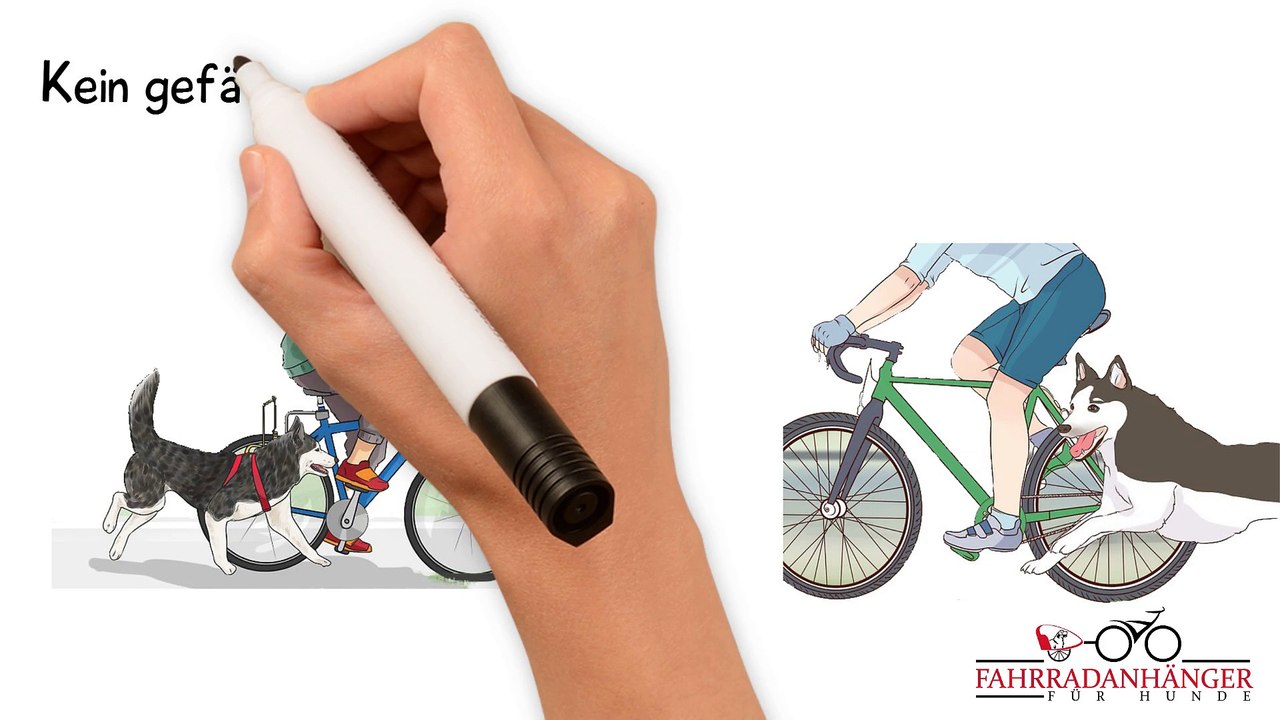 Fahrradanhänger für Hunde - [5. Vorteile im Detail]