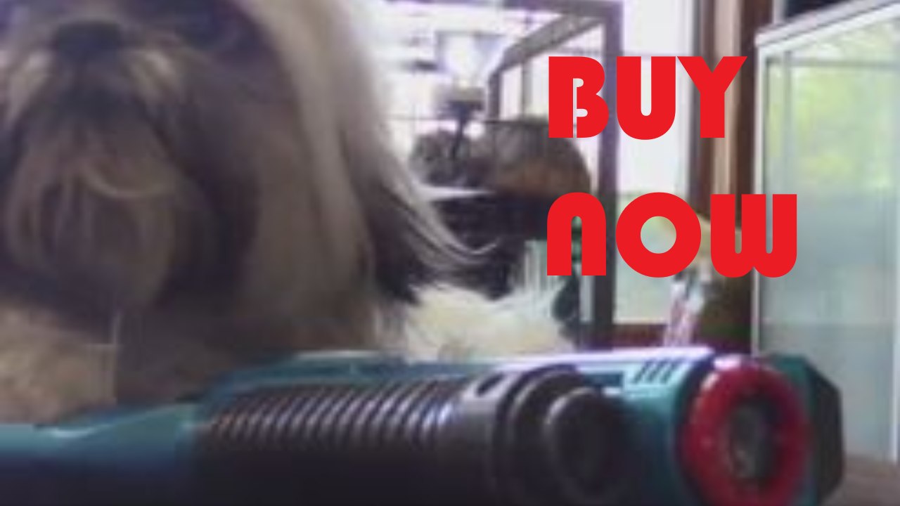 Cat Remover Infomercial