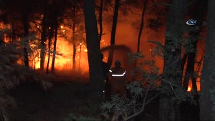 İzmir'in Bayındır İlçesindeki Yangın 12 Saattir Devam Ediyor