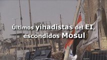 Últimos yihadistas del EI se esconden en el casco antiguo de Mosul