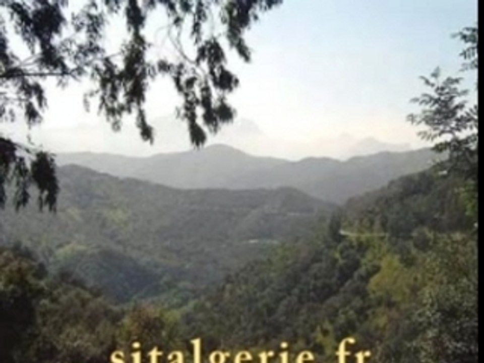 Fahem à la sauce de Moh