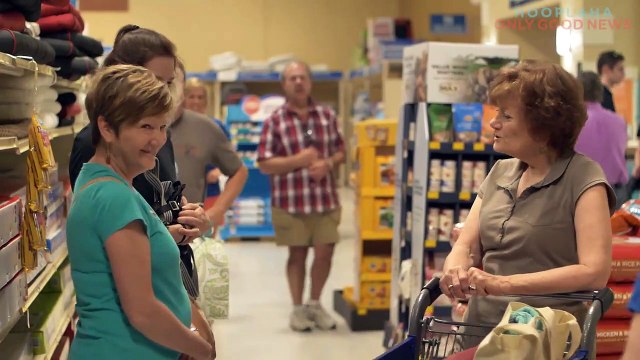 Tracy's Dogs Rescues Shelter Dogs