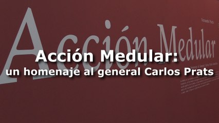 Acción Medular: un homenaje al general Carlos Prats