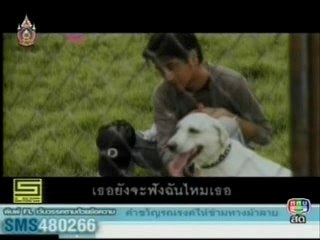 Wan Nan Ya Luem Wanni