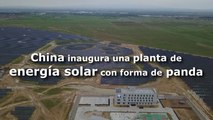 China y PNUD inauguran una planta de energía solar con forma de oso panda