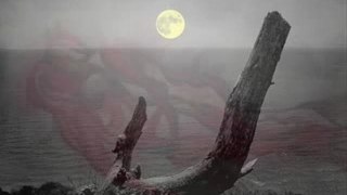 Ay Işığında - Yıldız Tilbe