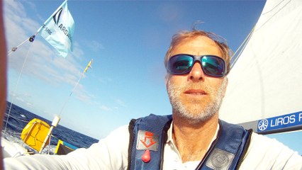 5- Alizés portugais