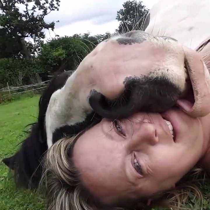 Cet adorable cheval adore faire des calins