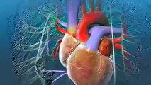 What is the procedure of Heart Valve Replacement