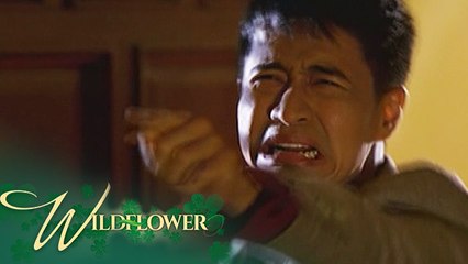 Wildflower: Arnaldo sees the people whe killed | EP 114