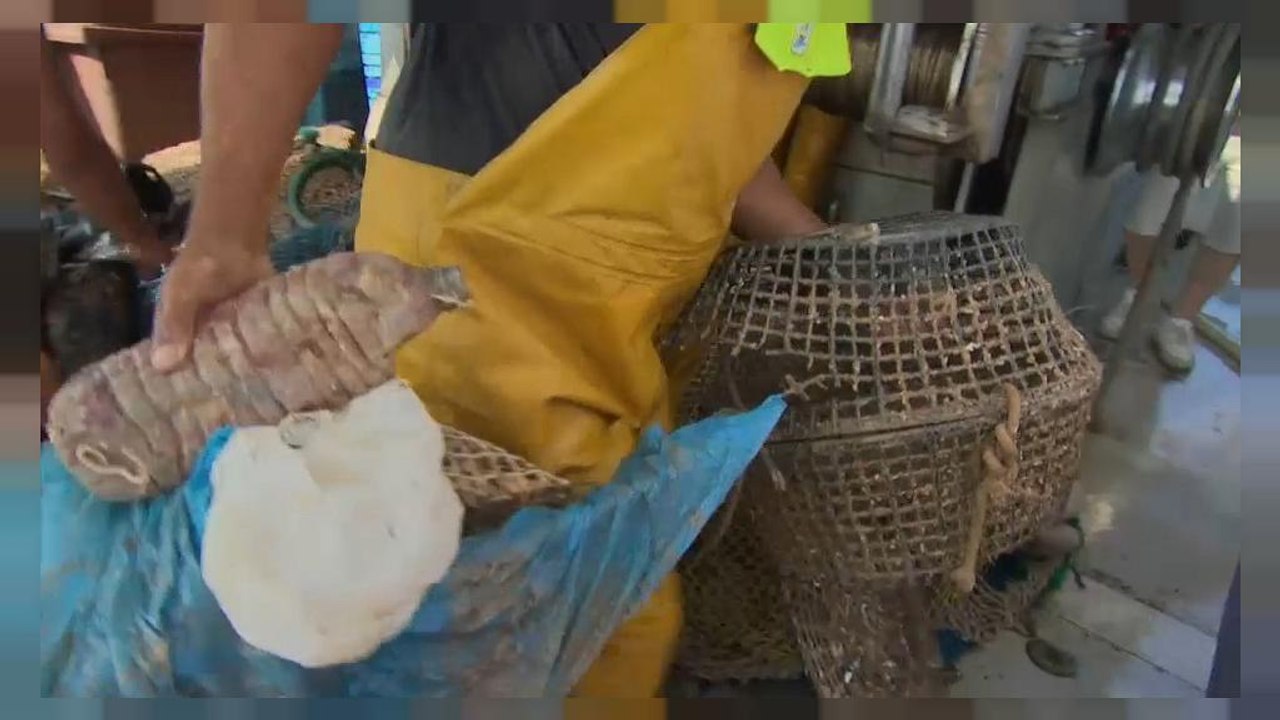 Mode aus Meersabfällen