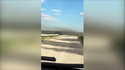 Скачать видео: Ce conducteur va traverser un nuage de criquets... Flippant