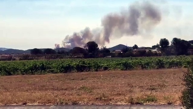 L'incendie de Bormes-les-Mimosas depuis la route