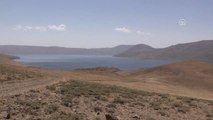Türkiye'nin En Yüksek Rakımlı Gölü