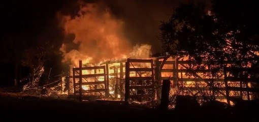 San Jose Firefighters Work to Contain Brush Fire that Destroyed Barn in Almaden Hills