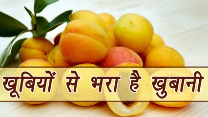 Dried Apricot, खुबानी | Health Benefits | सेहत की खूबियों से भरपूर है खुबानी | Boldsky