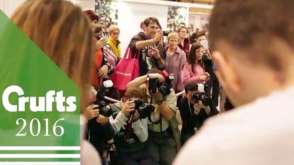 Britain's Got Talent star Pudsey the dog is dead