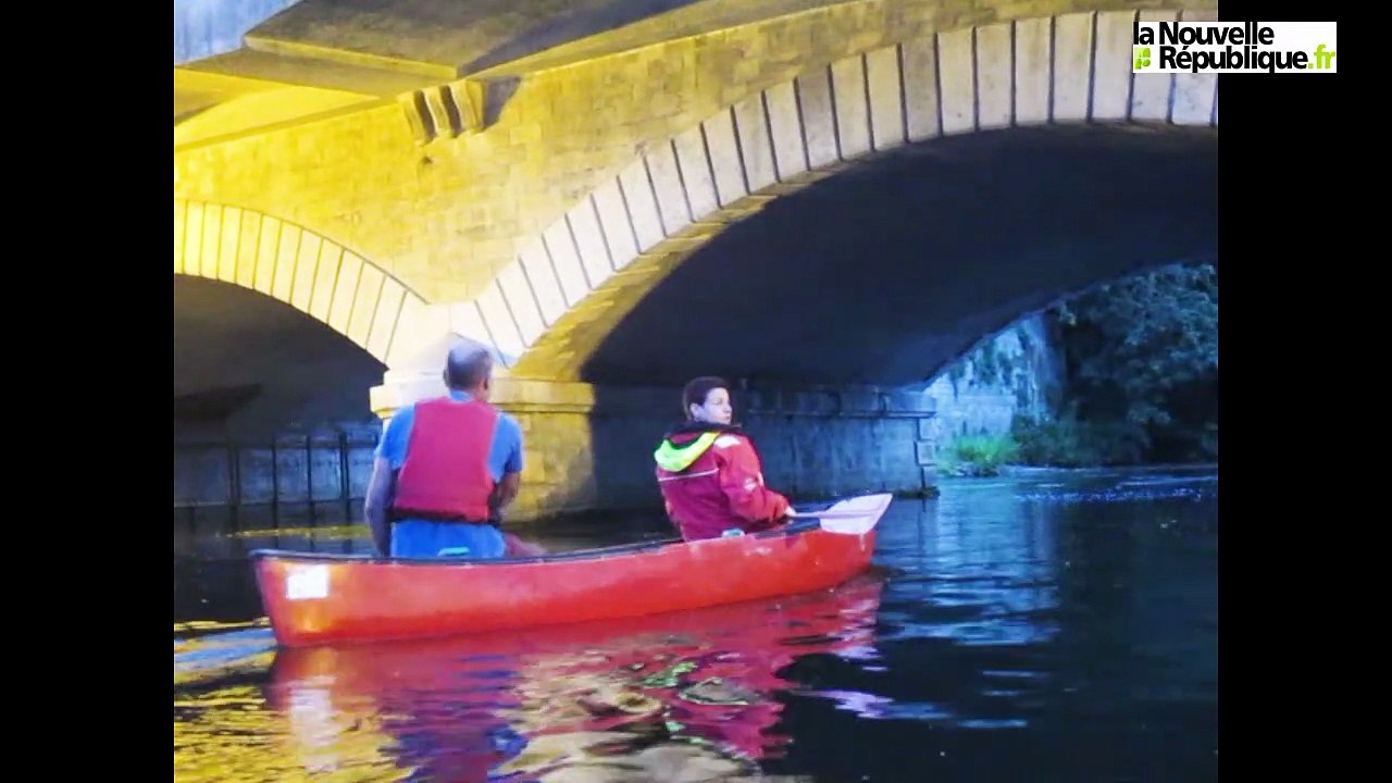 Balade nocturne en canoë dans la Sèvre