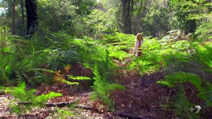 Home and Away 6702 26th July 2017
