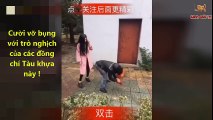 Chinese Funny Clips 2017 - Best Of Chinese Comedy Videos