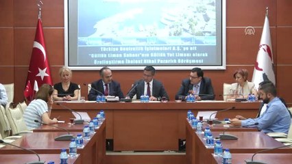 Güllük Yat Limanı Ihalesine Iki Teklif - Ankara