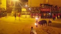 Shocking video shows bull dying after having horns set on fire