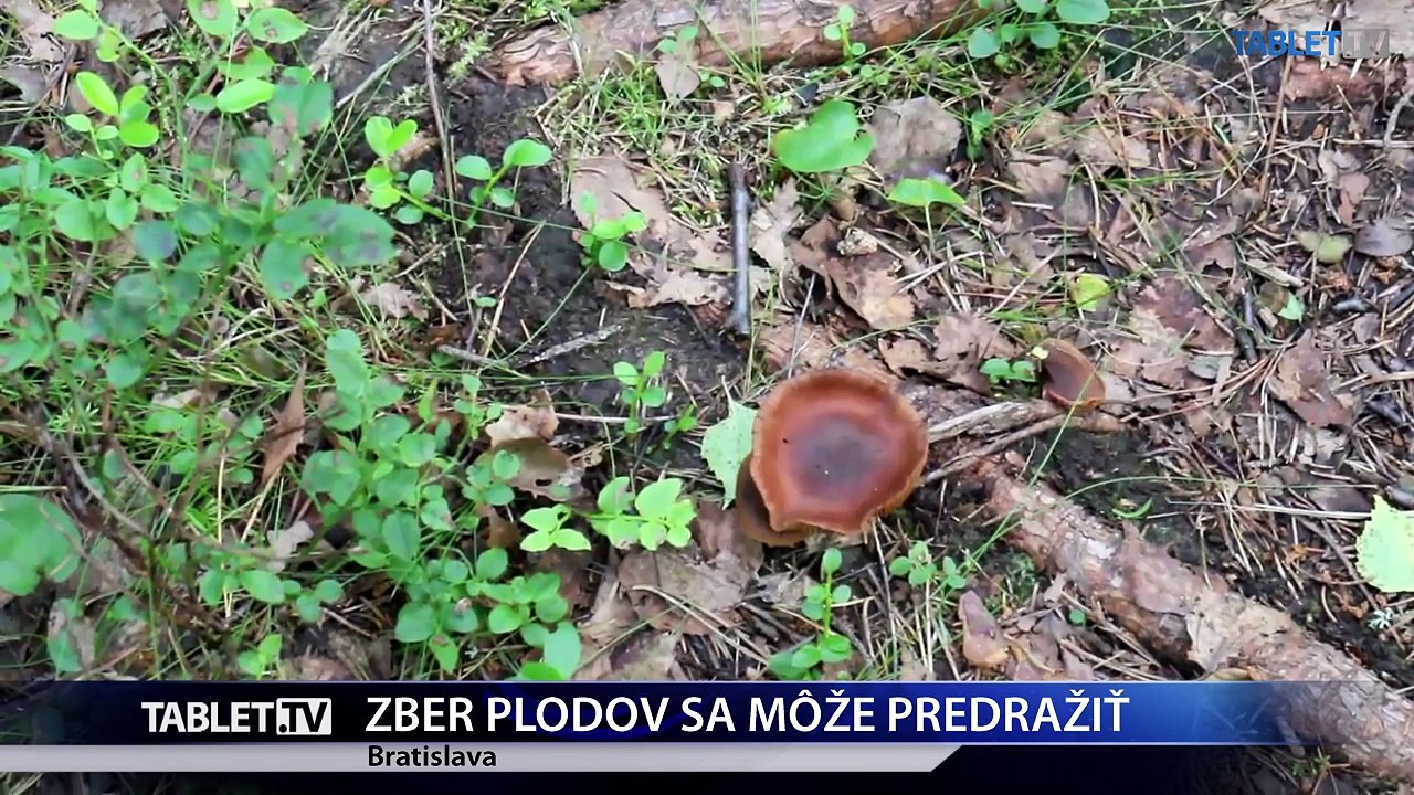 Za nezákonný zber plodov hrozia vysoké pokuty