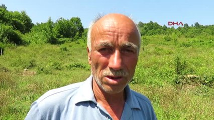 Hayvan Katliamında Jandarmanın Operasyonları Sürüyor 3