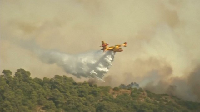 Massive fires destroy forests in southern France and Corsica