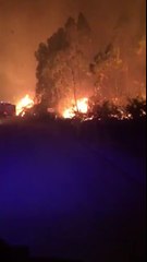 Inside Portugal Fires - Rare Reaction from Portuguese Fireman