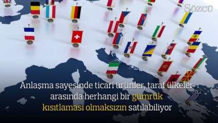 Gümrük Birliği Anlaşması askıya alınırsa ne olacak?