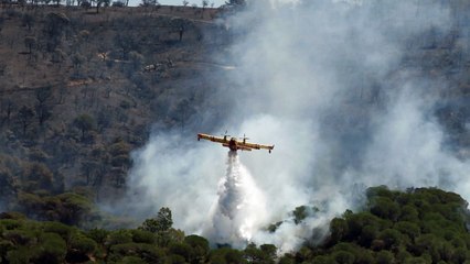Incendies : l'émouvant message de Jean-Luc Reichmann