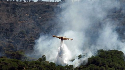 Incendies : l'émouvant message de Jean-Luc Reichmann