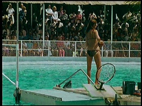 Die Sache mit dem Augenzeugen ( 2 )