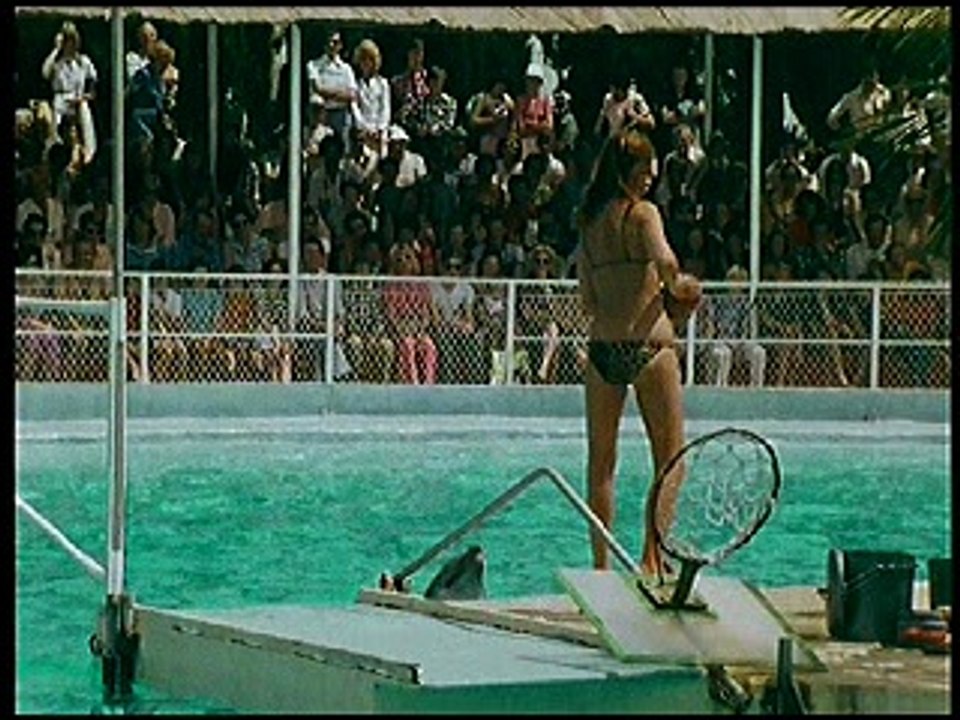 Die Sache mit dem Augenzeugen ( 2 )