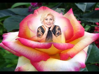 ILKAY ARMEN & Fikrimin İnce Gülü