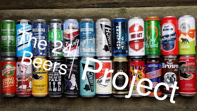 24 Beers Project #20 10 Point India Pale Ale