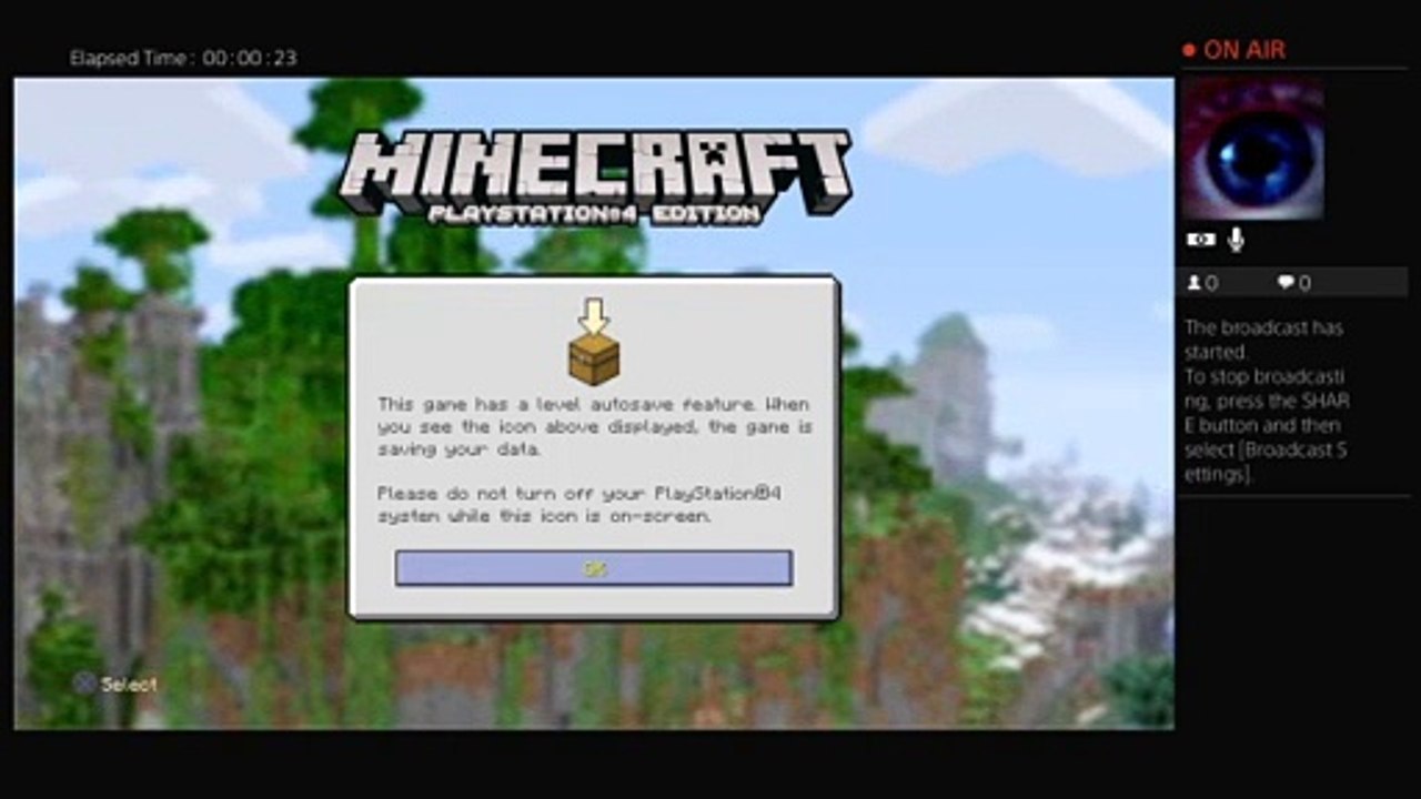 Minecraft pros (27)