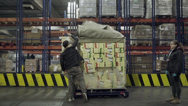 Les contrôles phytosanitaires à Roissy