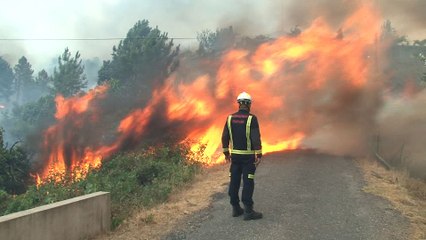 Les feux de forêt prennent de l'ampleur au Portugal