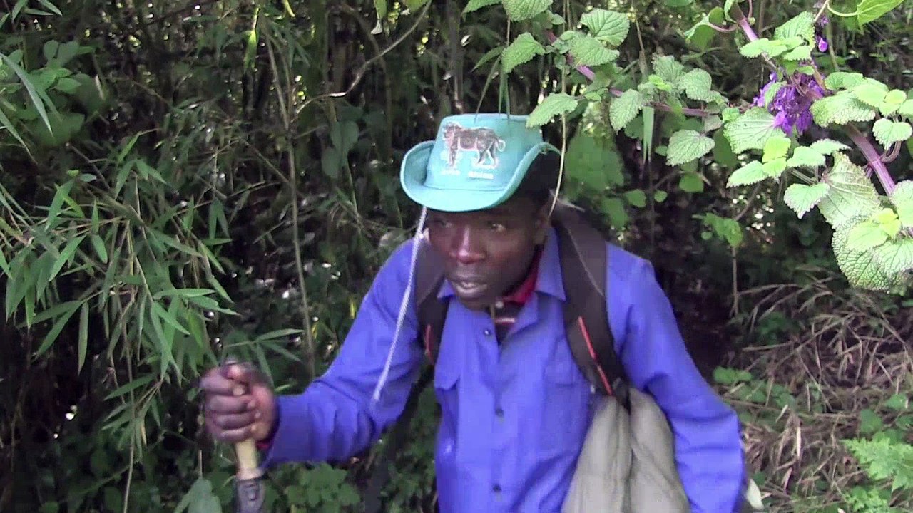 Gorilles et safaris: le Rwanda mise sur le tourisme de luxe