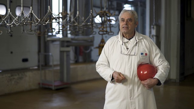 Les contrôles sanitaires en abattoirs