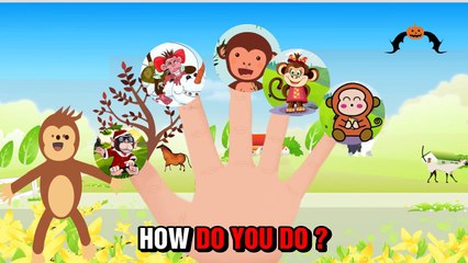 Curious George - The Finger Family Song - Songs For Children