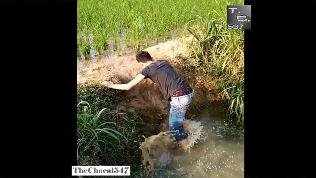 SI TE RÍES, PIERDES 1 (NIVEL ASIÁTICO) Videos Graciosos 2017_HD