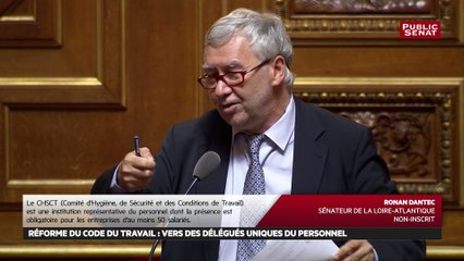 Réforme du code du travail : la fusion des instances représentatives du personnel